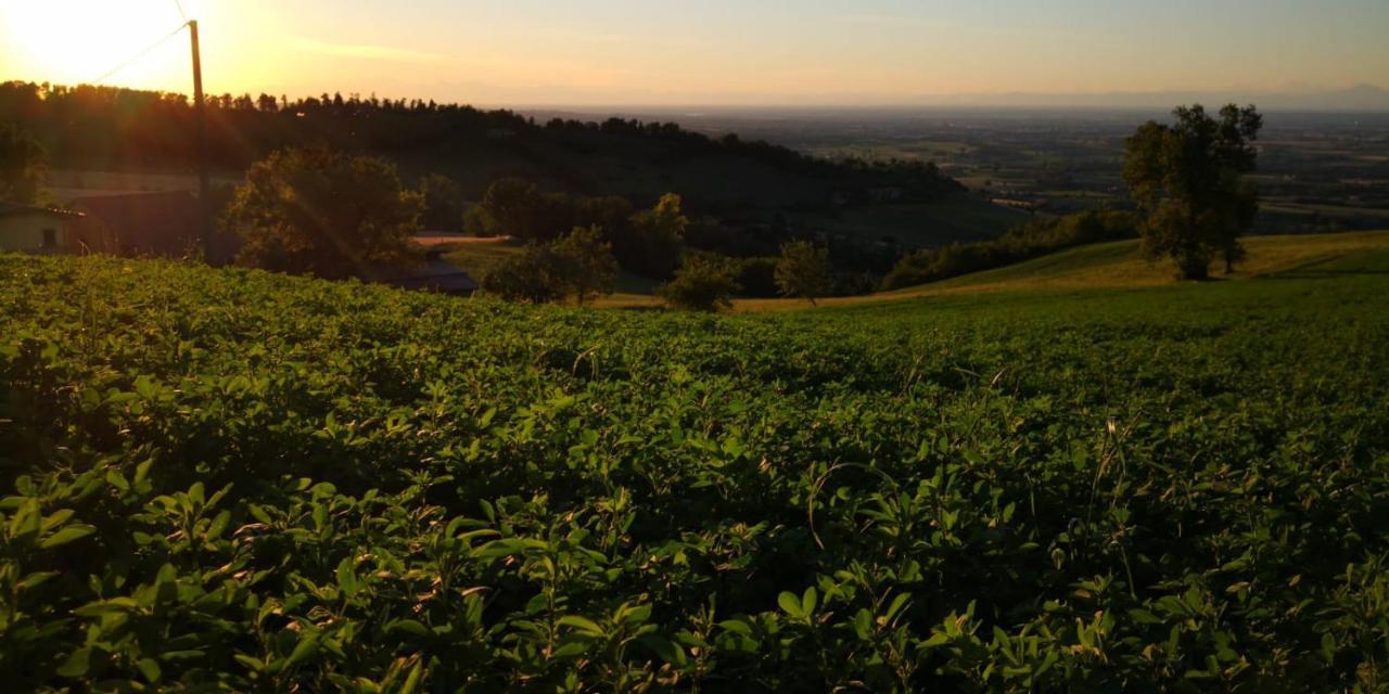 Piozzano Agriturismo Agronautaヴィラ エクステリア 写真